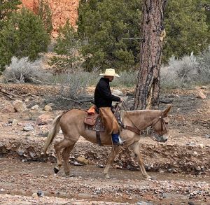 JLo Utah Family Broke Gentle Kind Trails Utah Rocks Canyons