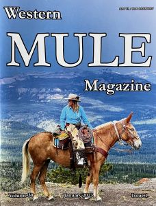 JLo Magazine Cover Palomino Beautiful Gentle Trail Family Molly Mule Sallee